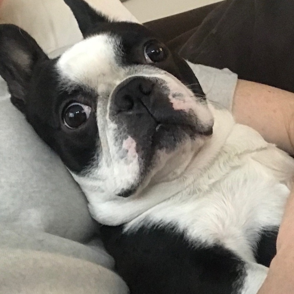 Meet your Posher, Kelly